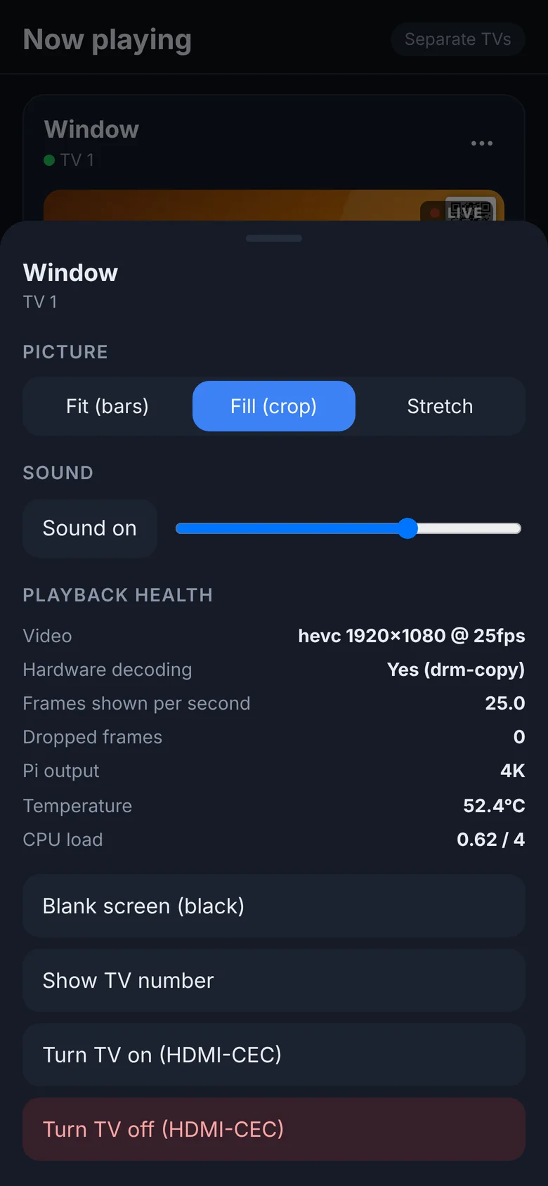Screen options: picture fit, sound, playback health